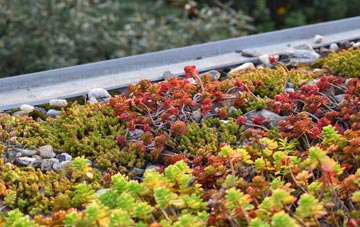 the cost of Catton Grove green roof installation