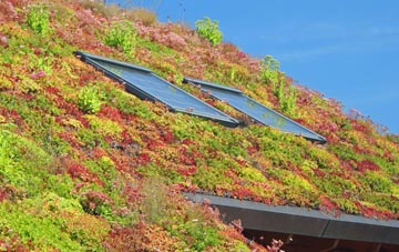 Catton Grove living roof systems